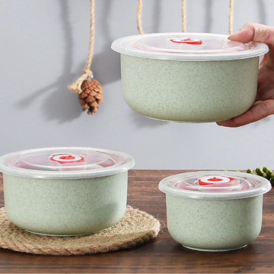 WellChef Food Storage Containers Bento Box Microwave Storage Containers