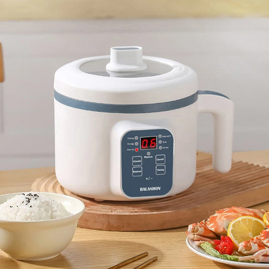 WellChef Electric Rice Cooker With Double Layer