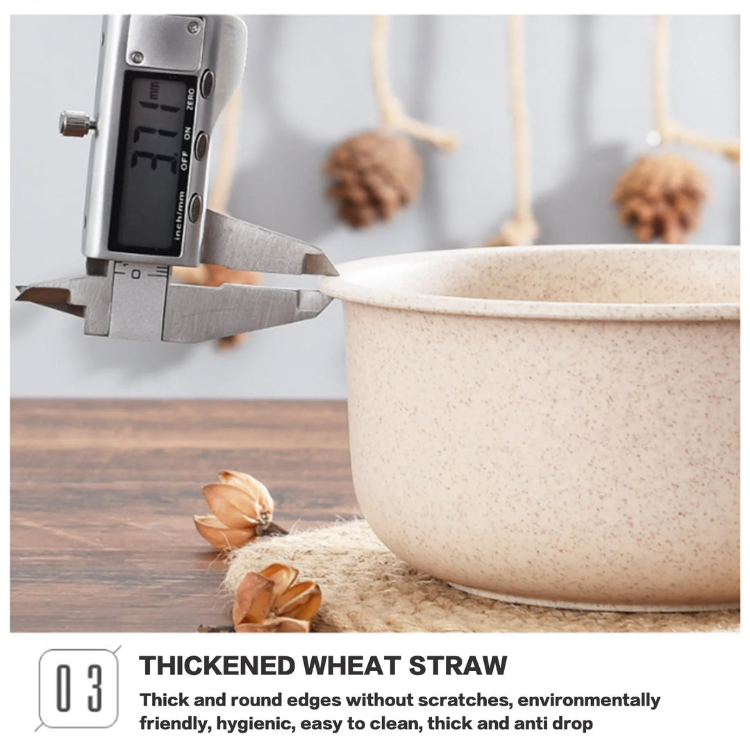 WellChef Food Storage Containers Bento Box Microwave Storage Containers