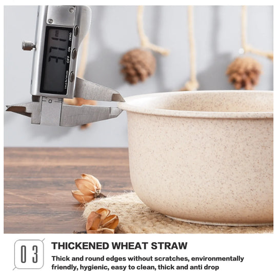 WellChef Food Storage Containers Bento Box Microwave Storage Containers