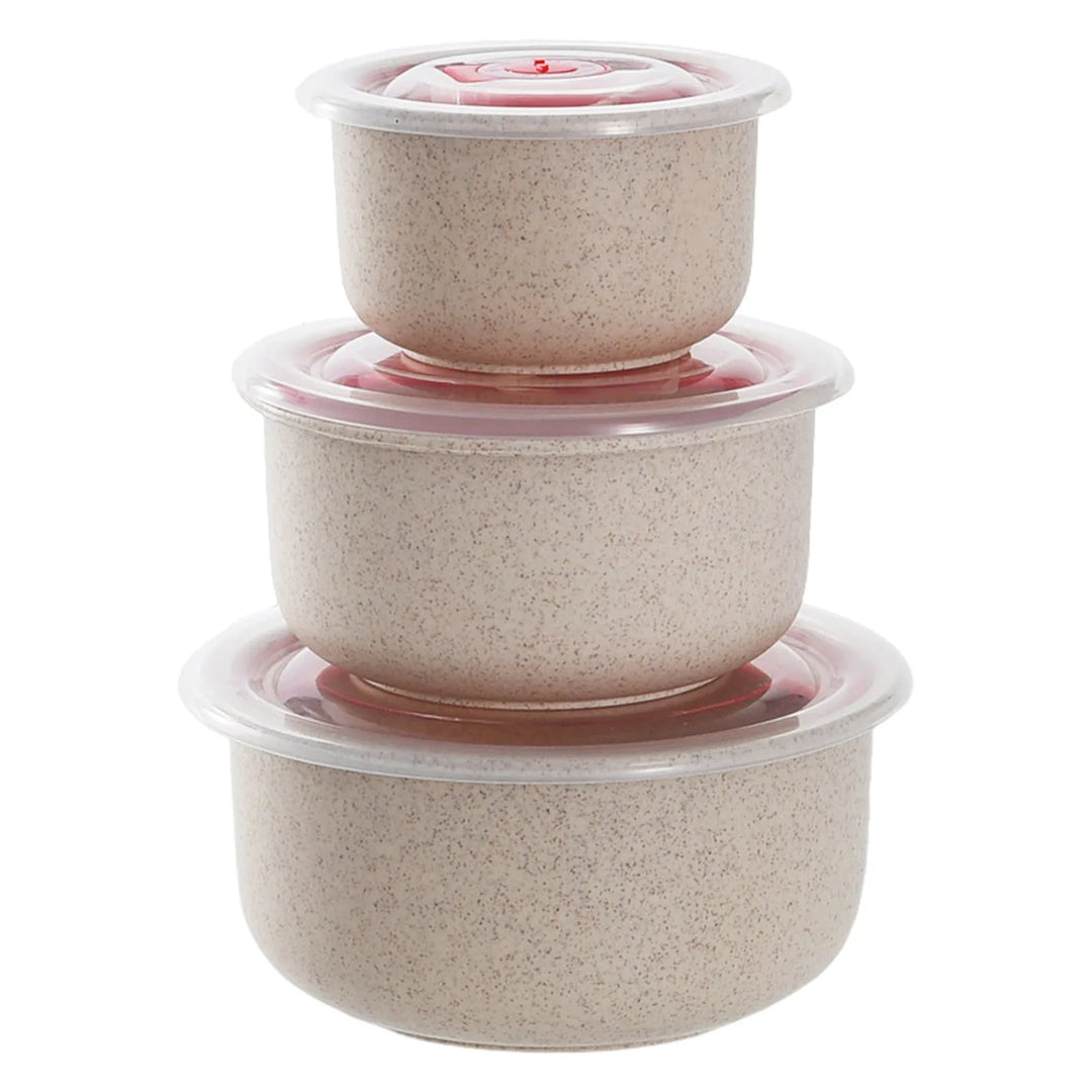 WellChef Food Storage Containers Bento Box Microwave Storage Containers